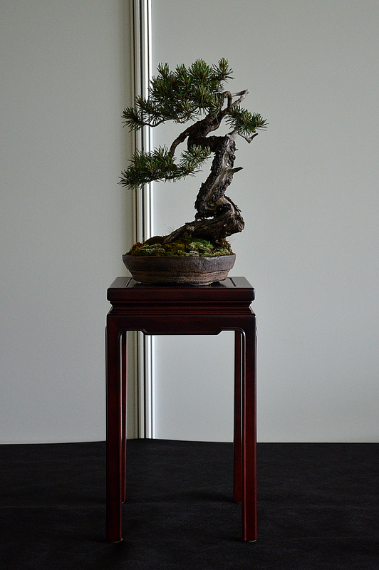 dsc8202.jpg