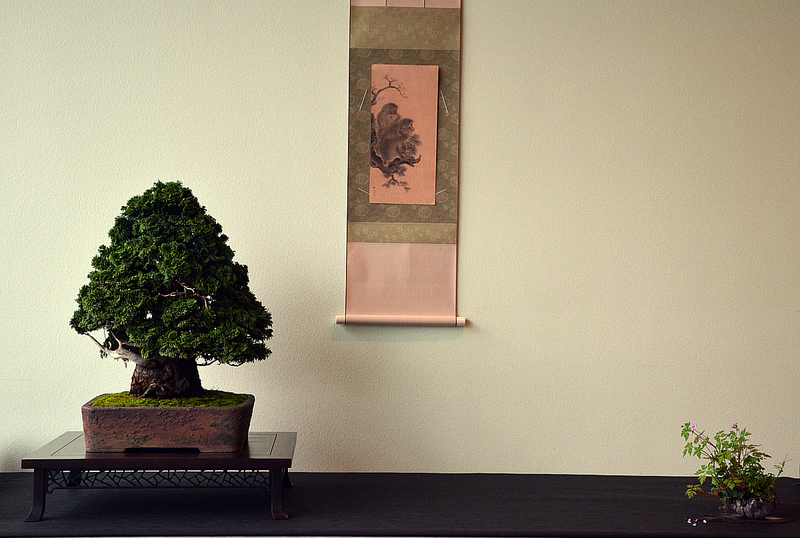 dsc8095.jpg