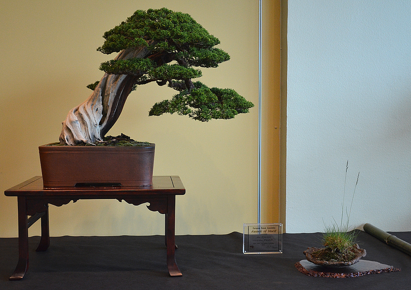 dsc8104.jpg