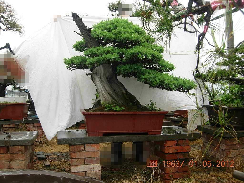 DSCN6009.JPG