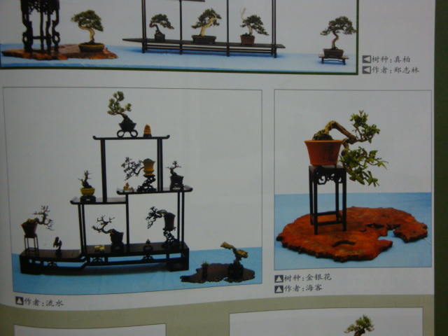 DSC09010.JPG