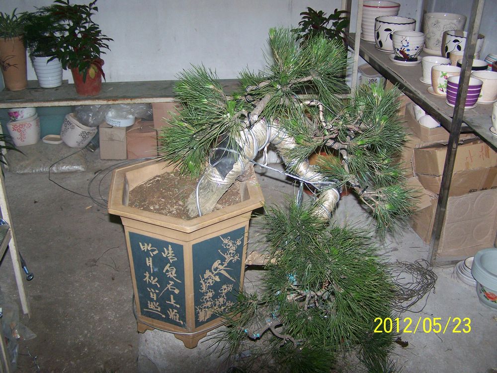 100_4589.jpg