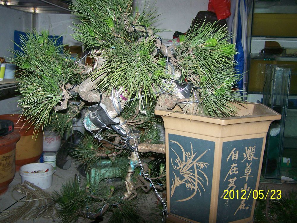 100_4593.jpg
