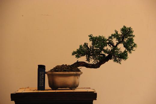 Ƭ 012.jpg