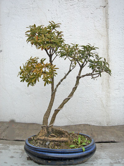DSC00320.JPG