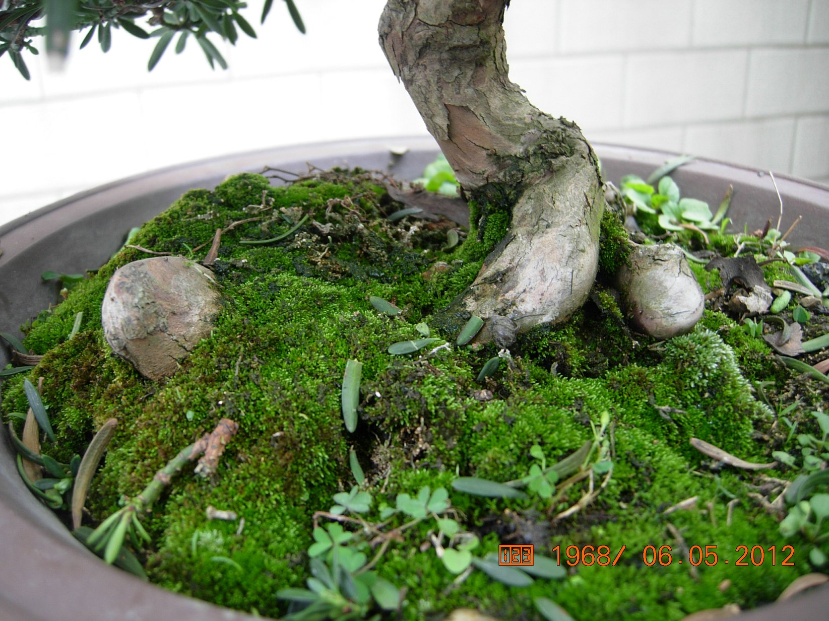 DSCN6115.JPG