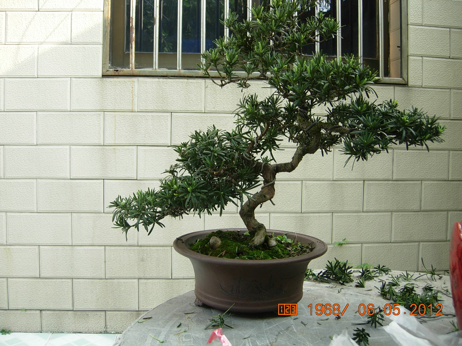 DSCN6117.JPG