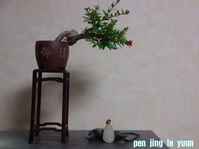 DSC09056.JPG