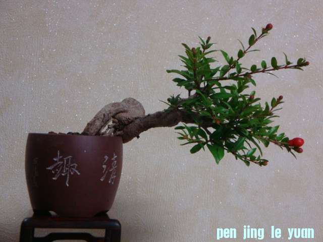 DSC09057.JPG