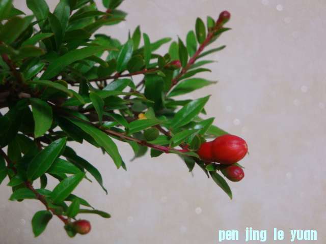 DSC09059.JPG
