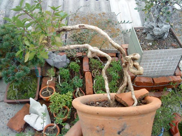 DSC00261.JPG