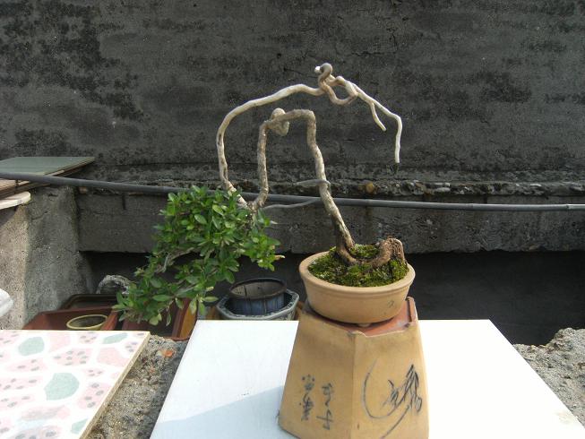 DSCF6434.JPG