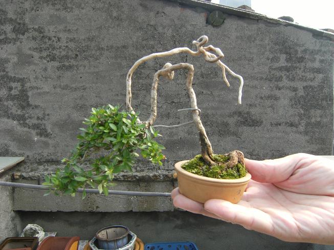 DSCF6456.JPG