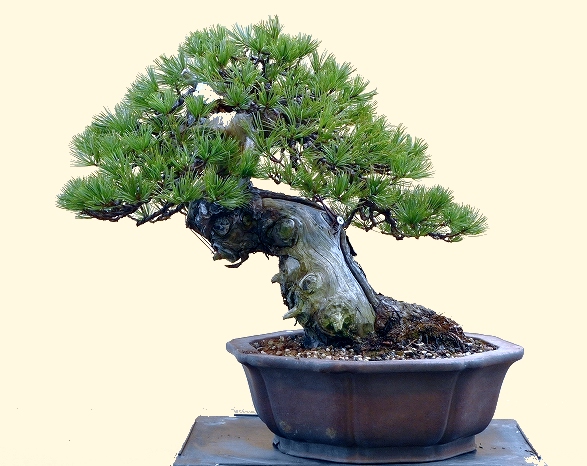 640b.jpg