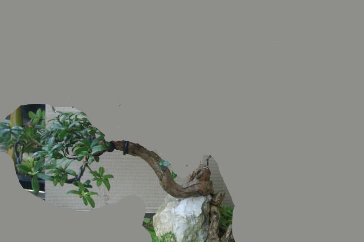 CIMG4531_JPG_thumb_conew2.jpg