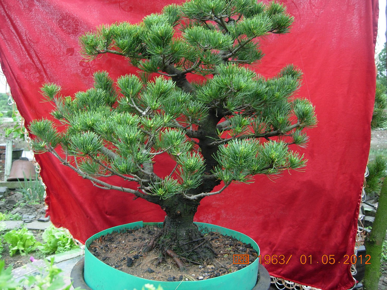 DSCN6102.JPG