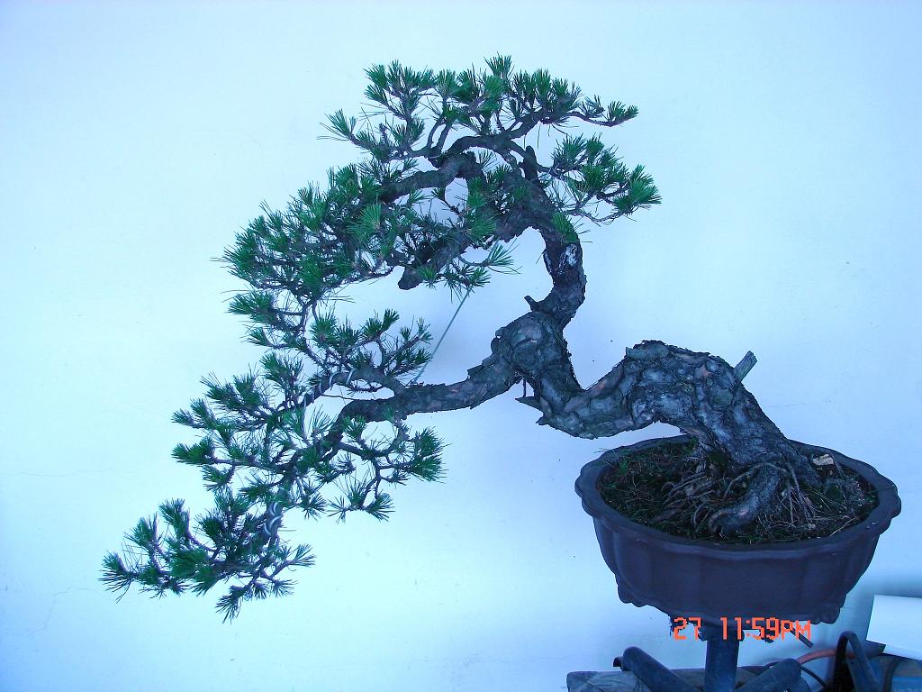 DSC04242.JPG