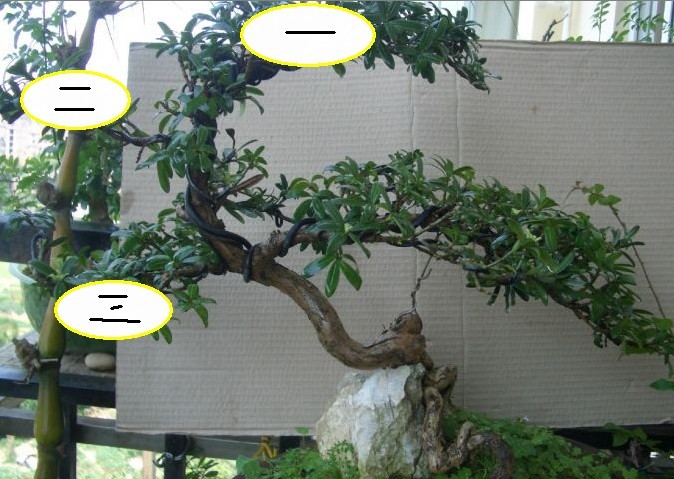 δ369.jpg