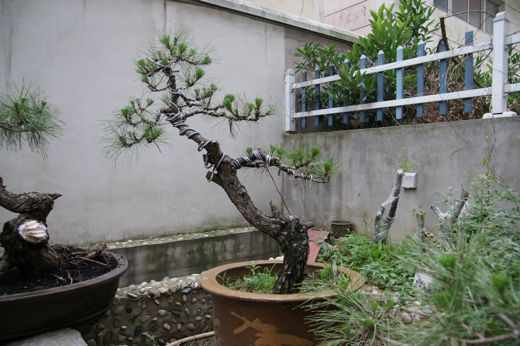 С DSC06005.JPG