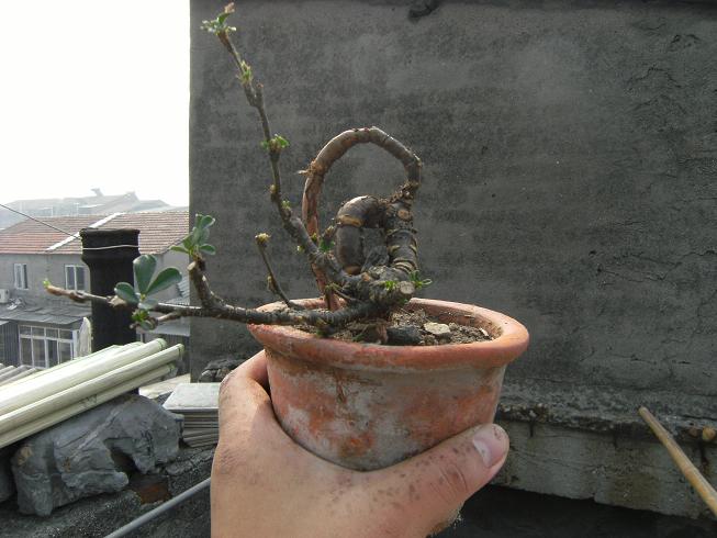 DSCF2359.JPG