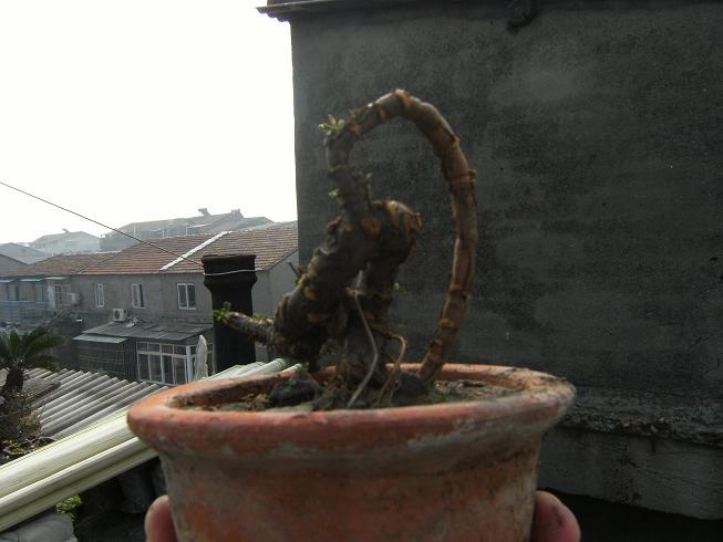 DSCF2360.JPG
