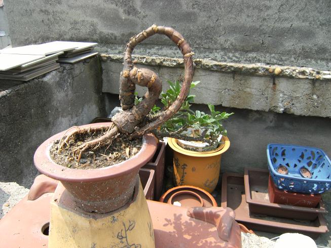DSCF3341.JPG