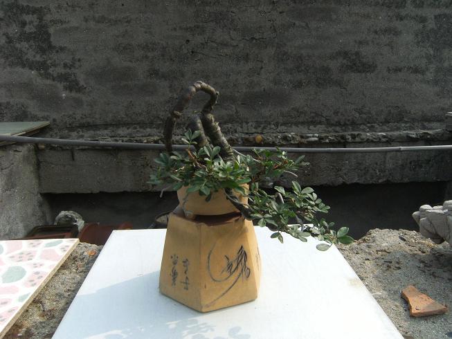 DSCF6441.JPG