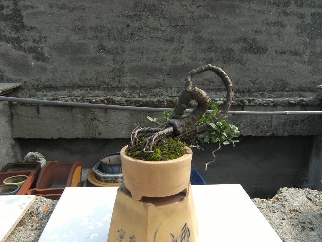DSCF6443.JPG
