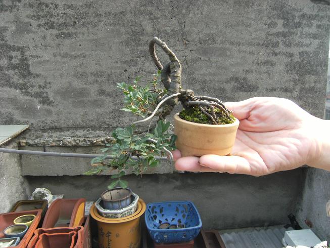 DSCF6458.JPG