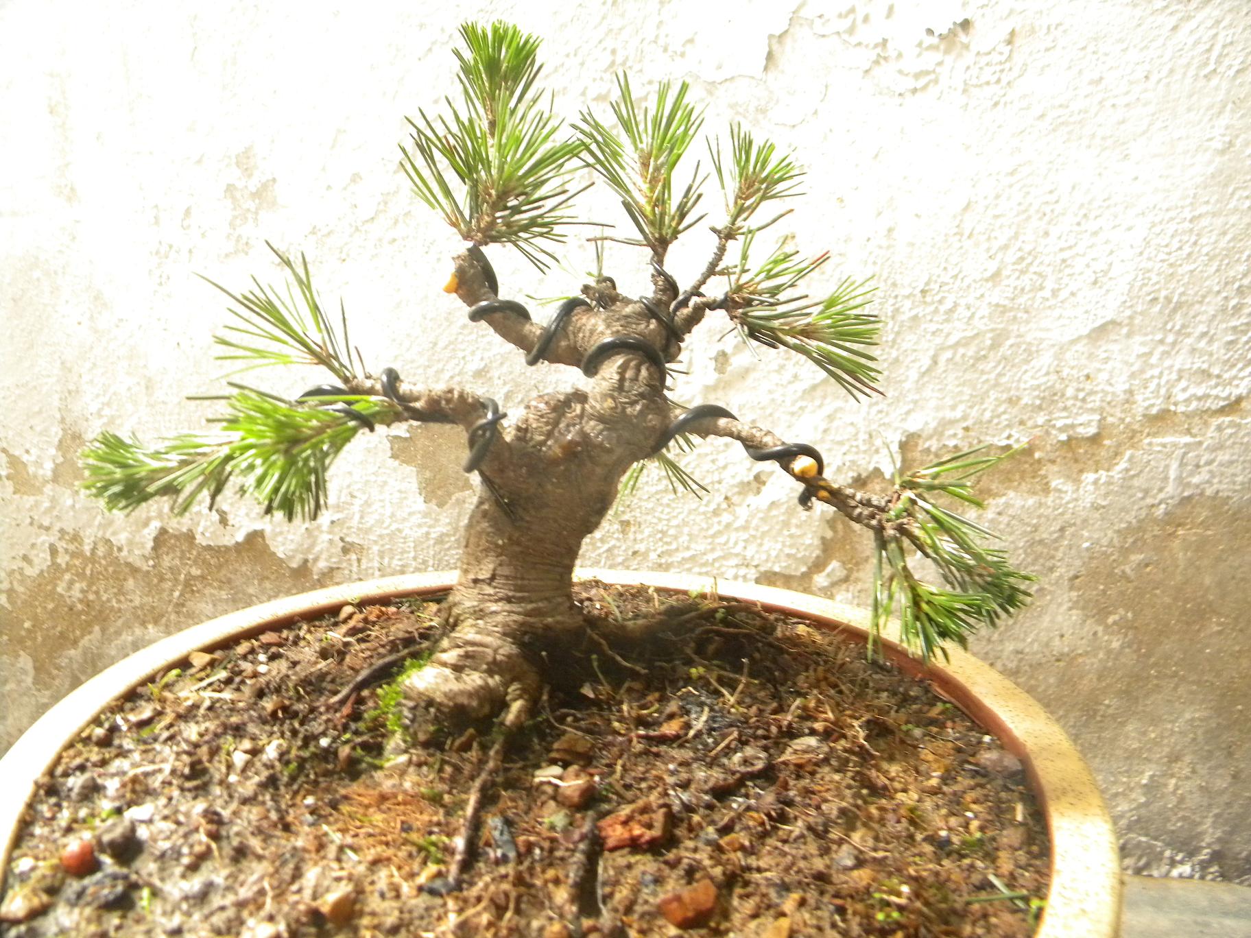 DSCN5448.JPG