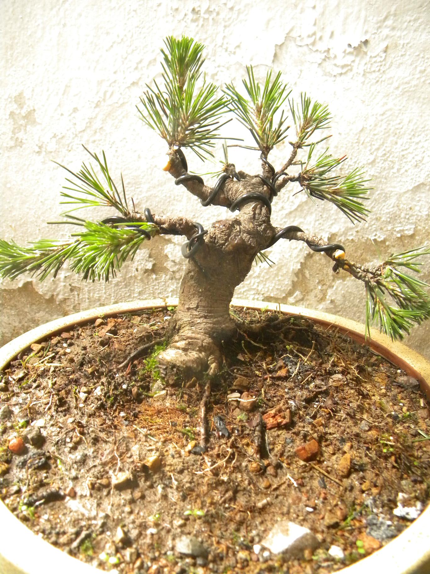 DSCN5450.JPG