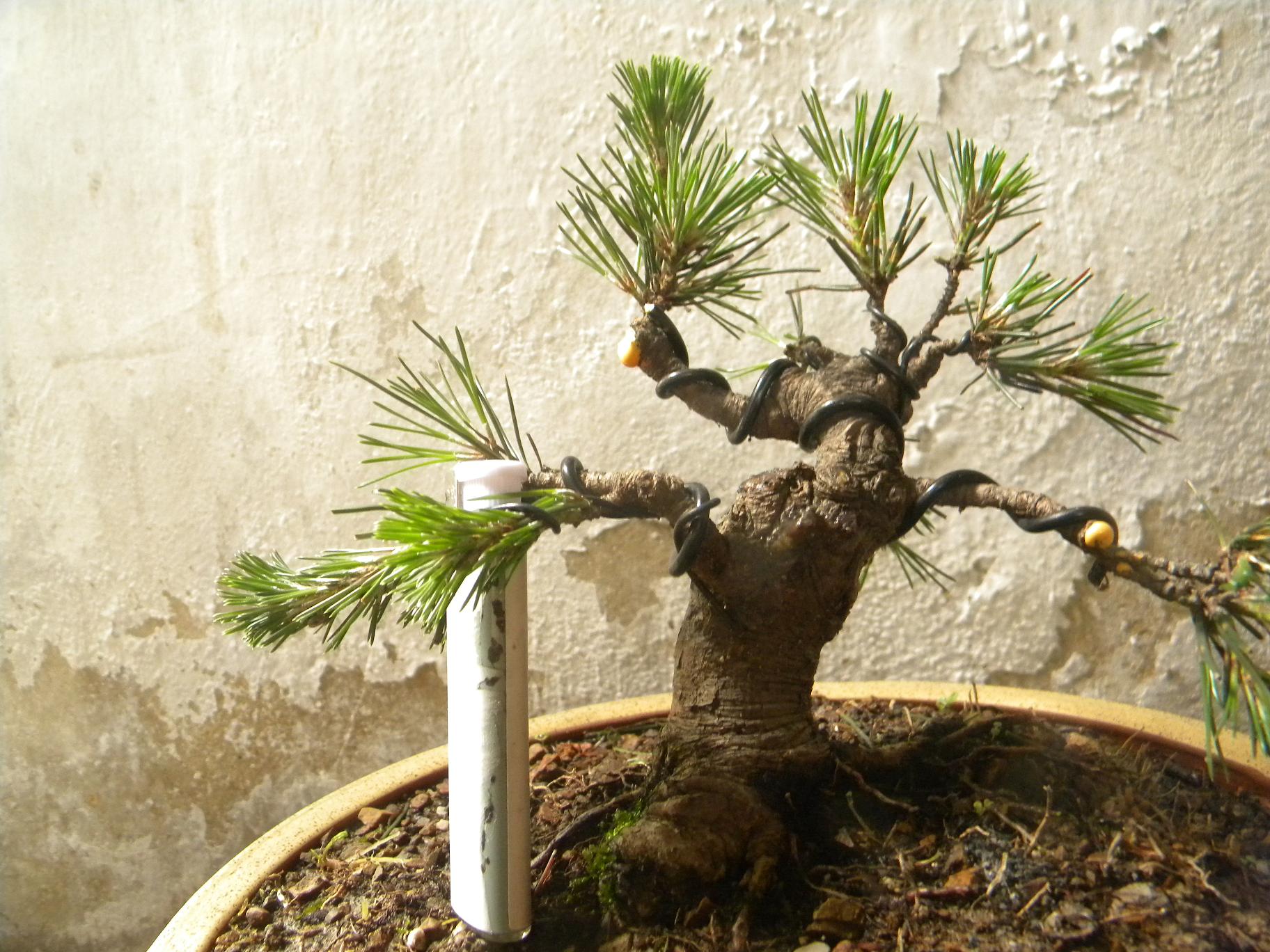 DSCN5452.JPG