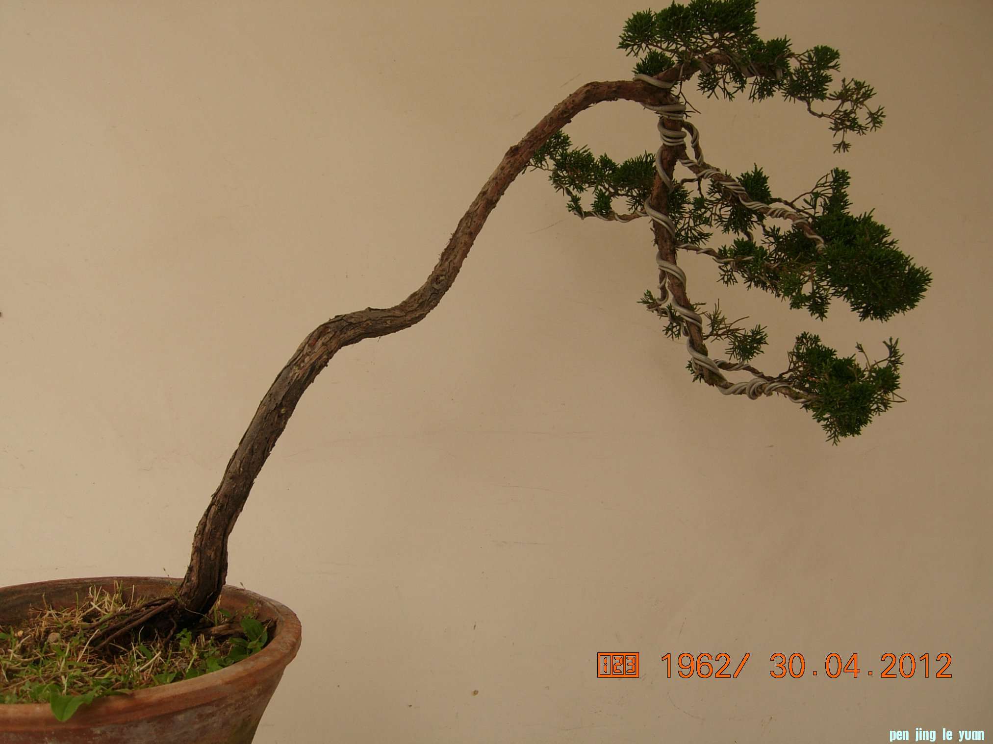 DSCN5890.JPG