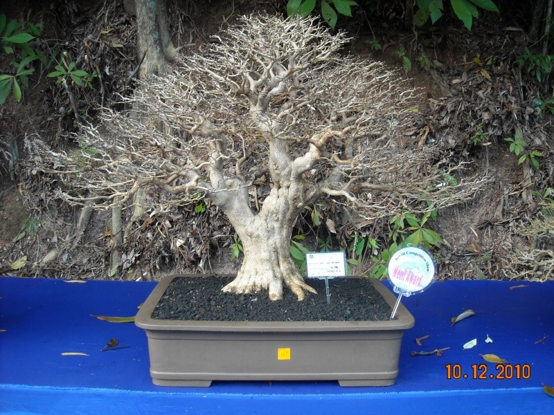 dscn4410.jpg