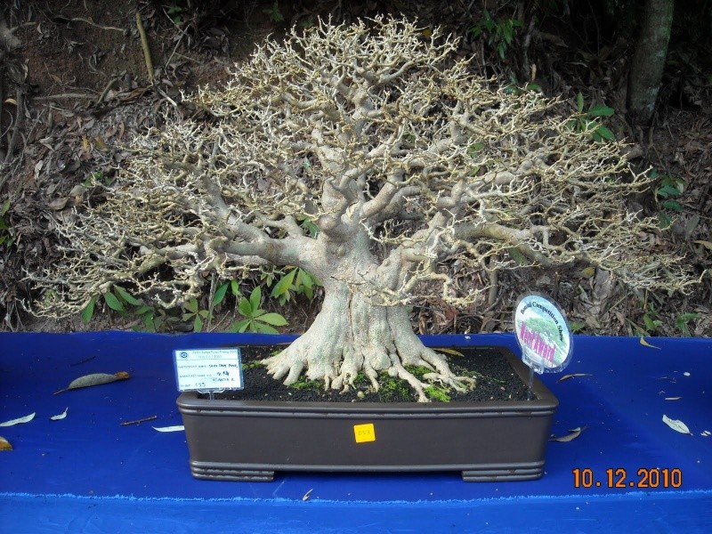 dscn4411.jpg