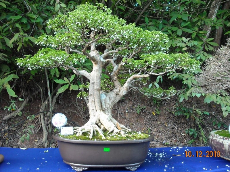 dscn4412.jpg