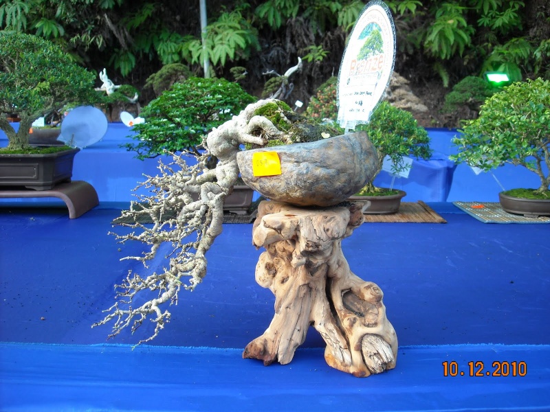 dscn4414.jpg