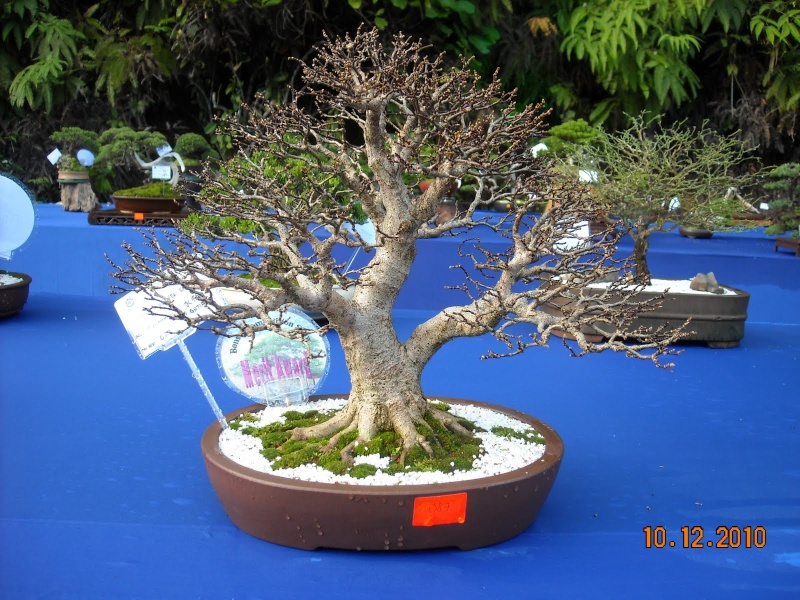 dscn4415.jpg