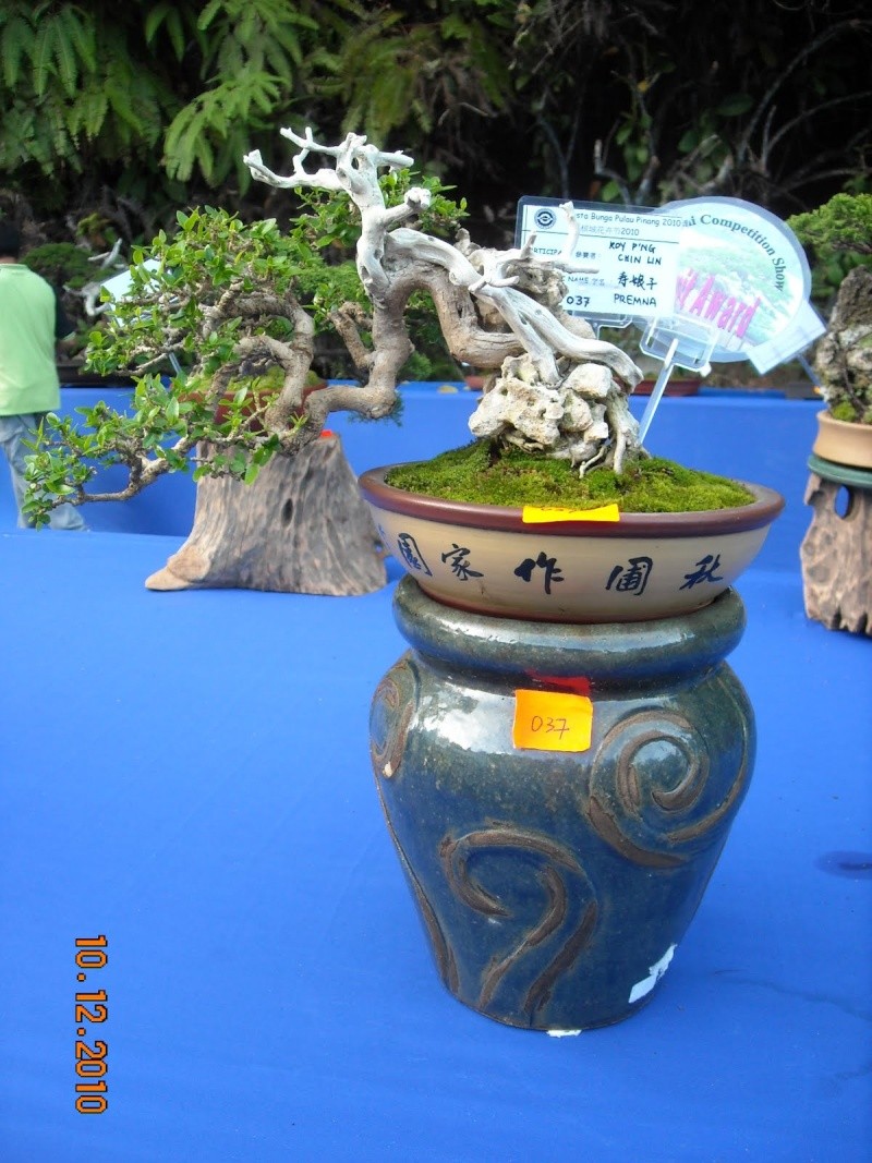 dscn4418.jpg