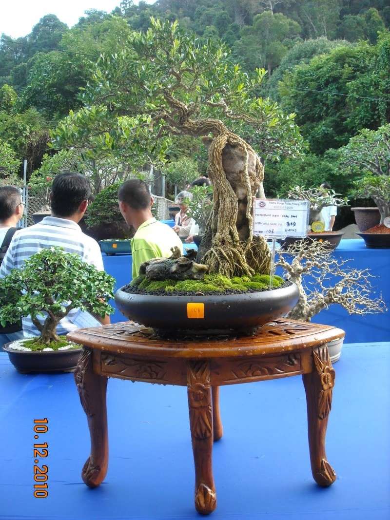 dscn4419.jpg