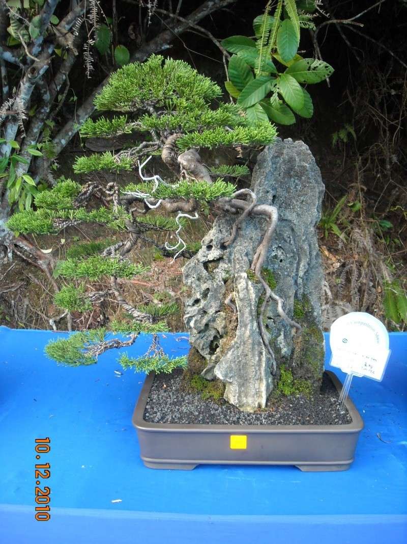 dscn4420.jpg
