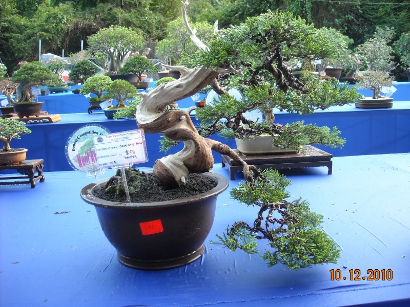 dscn4422.jpg