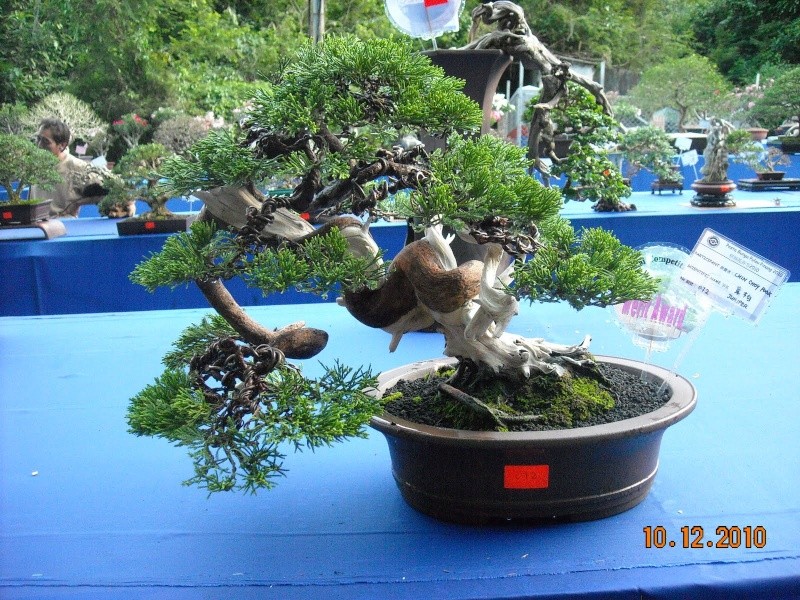 dscn4423.jpg