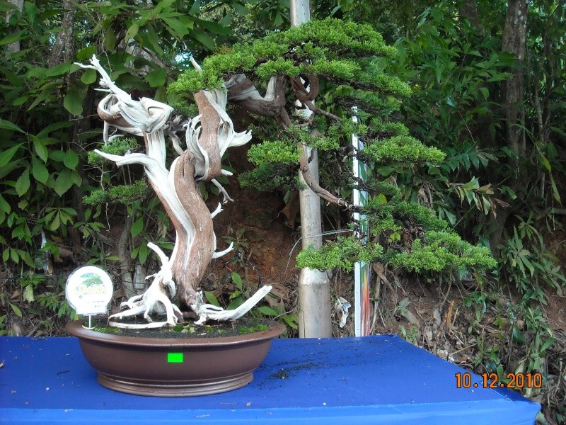 dscn4512.jpg