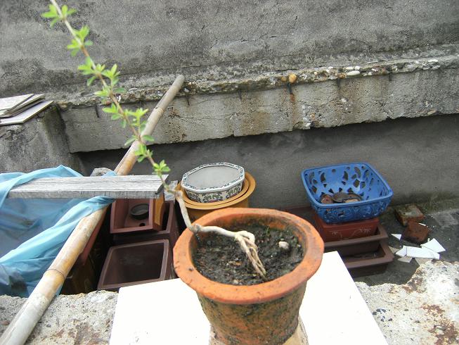 DSCF3837.JPG