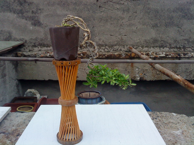 DSC00980.JPG
