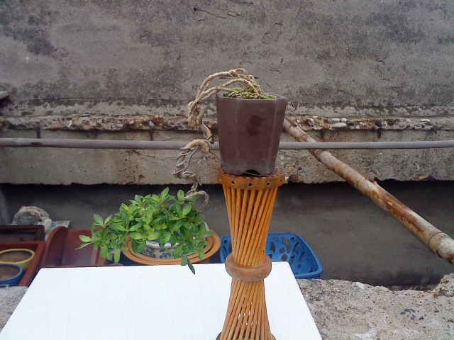 DSC00983.JPG