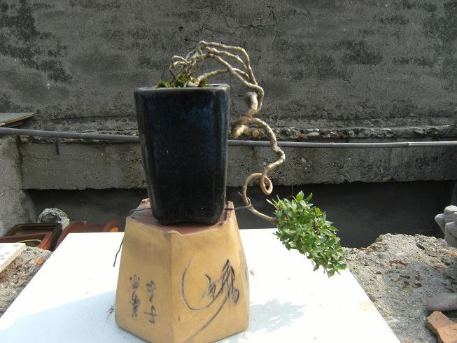 DSCF6498.JPG