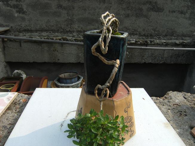 DSCF6501.JPG