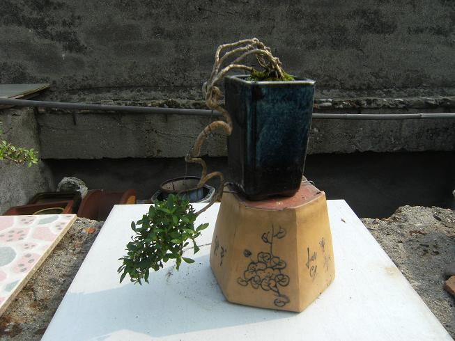 DSCF6502.JPG